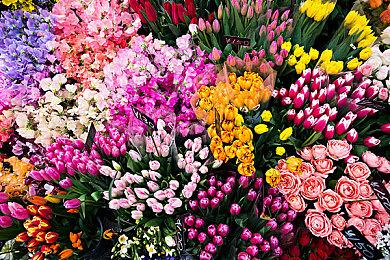 《丧尸围城豪华复刻版》发布暴君和克里斯服装DLC预告