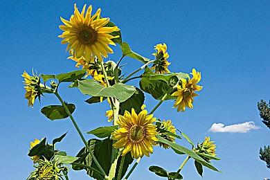 经典《节奏地牢》衍生作《节奏裂隙》正式登陆Steam